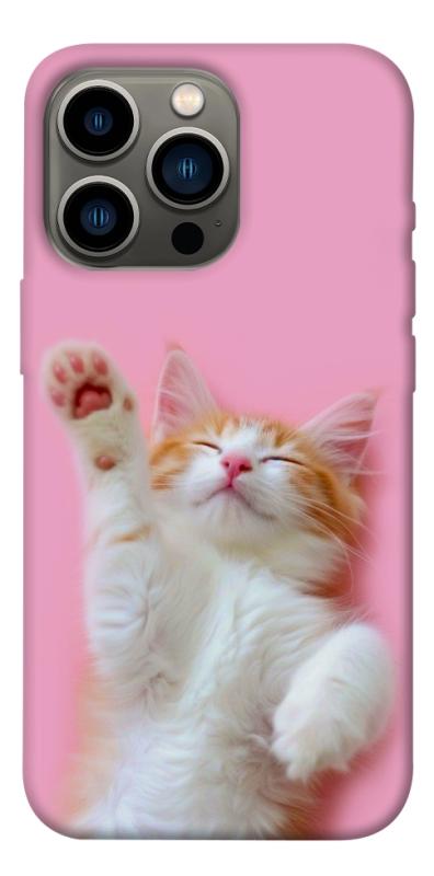 Чохол itsPrint Сat chill для Apple iPhone 13 Pro (6.1"), котики, купити оптом з доставкою
