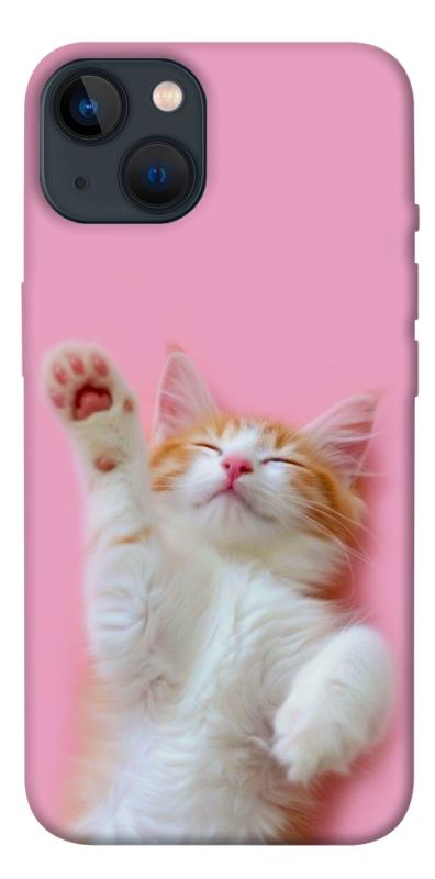 Чохол itsPrint Сat chill для Apple iPhone 13 (6.1"), котики, купити оптом з доставкою