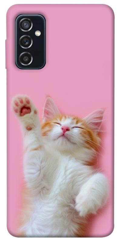 Чохол itsPrint Сat chill для Samsung Galaxy M52, котики, купити оптом з доставкою