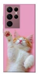 Чохол itsPrint Сat chill для Samsung Galaxy S22 Ultra