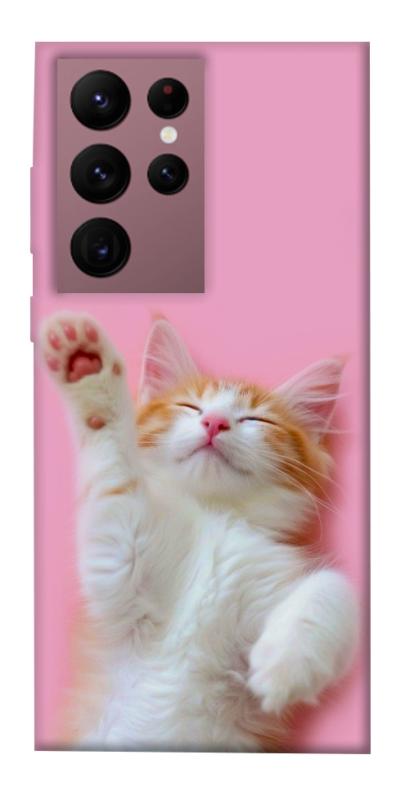Чохол itsPrint Сat chill для Samsung Galaxy S22 Ultra, котики, купити оптом з доставкою