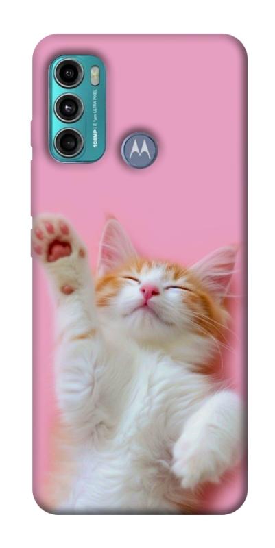 Чехол itsPrint Сat chill для Motorola Moto G60, котики, купить оптом с доставкой