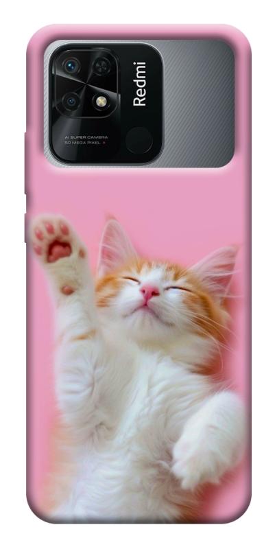 Чехол itsPrint Сat chill для Xiaomi Redmi 10C, котики, купить оптом с доставкой