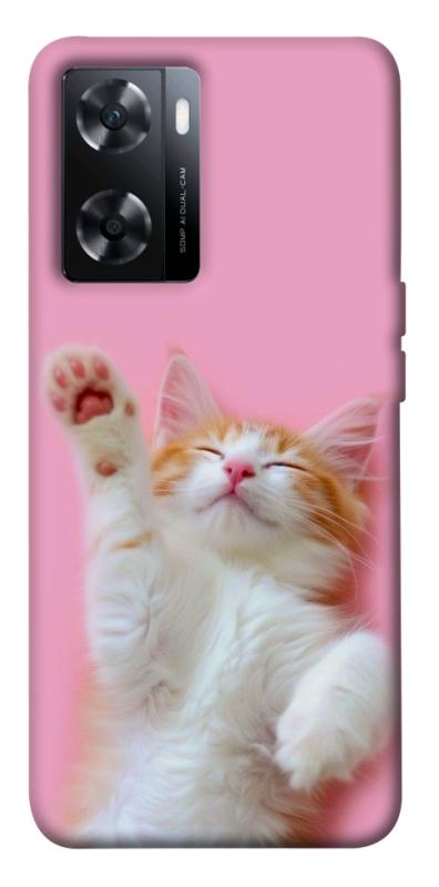 Чохол itsPrint Сat chill для OnePlus Nord N20 SE, котики, купити оптом з доставкою