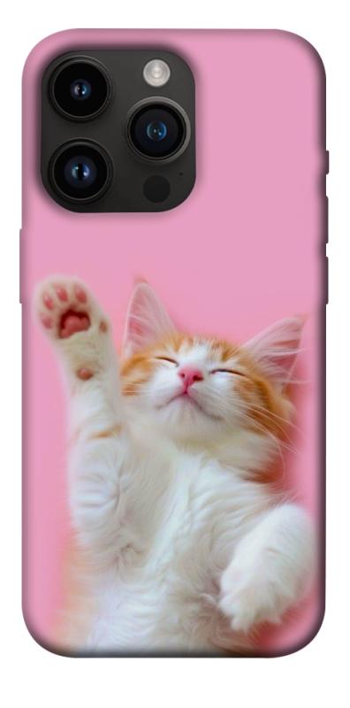 Чохол itsPrint Сat chill для Apple iPhone 14 Pro (6.1"), котики, купити оптом з доставкою
