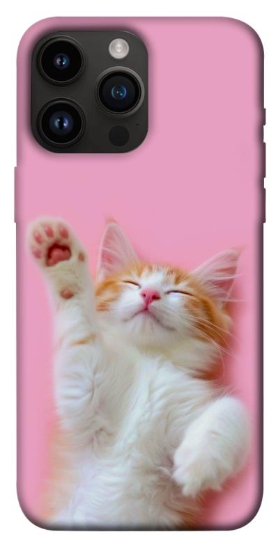 Чохол itsPrint Сat chill для Apple iPhone 14 Pro Max (6.7"), котики, купити оптом з доставкою