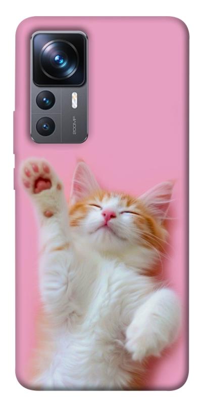 Чохол itsPrint Сat chill для Xiaomi 12T / 12T Pro, котики, купити оптом з доставкою
