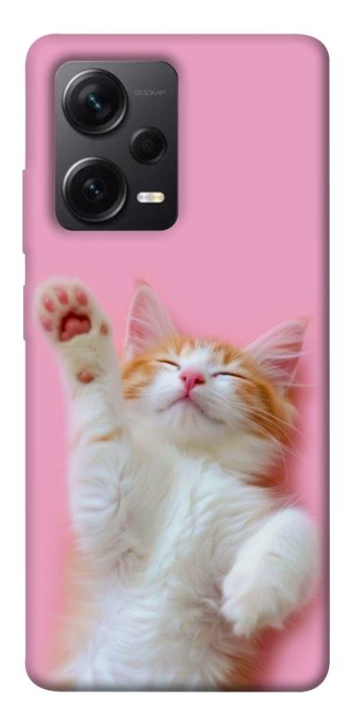 Чехол itsPrint Сat chill для Xiaomi Redmi Note 12 Pro+ 5G, котики, купить оптом с доставкой