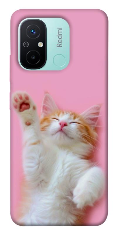 Чехол itsPrint Сat chill для Xiaomi Redmi 12C, котики, купить оптом с доставкой