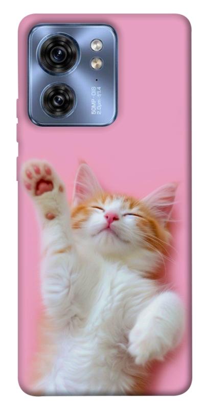 Чехол itsPrint Сat chill для Motorola Edge 40, котики, купить оптом с доставкой