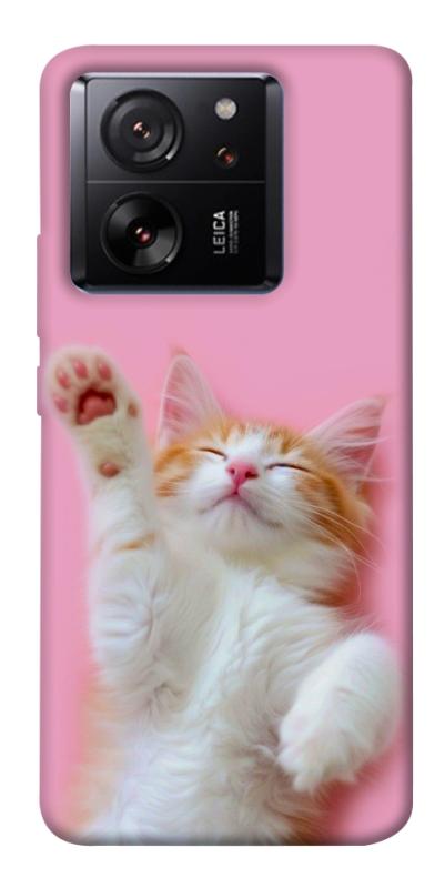 Чохол itsPrint Сat chill для Xiaomi 13T, котики, купити оптом з доставкою