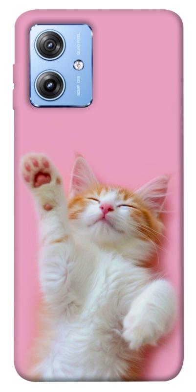 Чехол itsPrint Сat chill для Motorola Moto G84, котики, купить оптом с доставкой