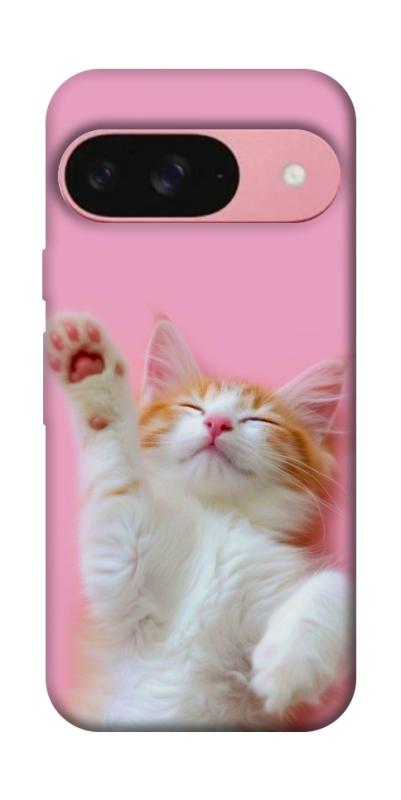 Чохол itsPrint Сat chill для Google Pixel 9, котики, купити оптом з доставкою