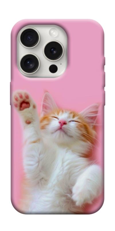 Чехол itsPrint Сat chill для Apple iPhone 16 Pro (6.3"), котики, купить оптом с доставкой