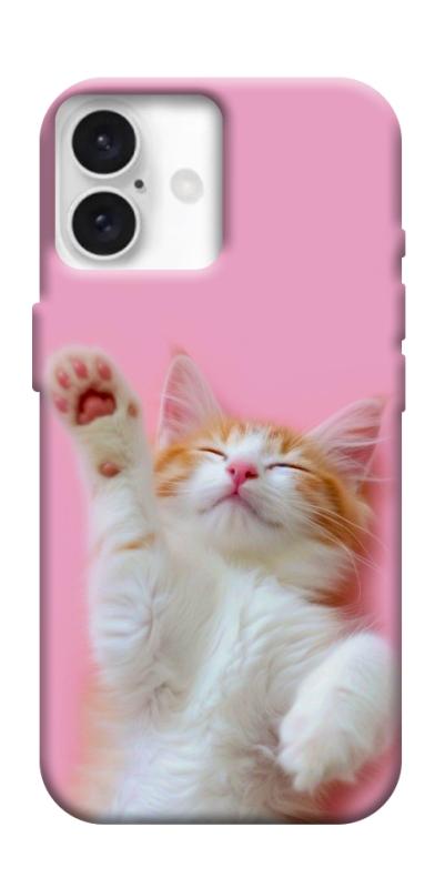 Чохол itsPrint Сat chill для Apple iPhone 16 Plus (6.7"), котики, купити оптом з доставкою