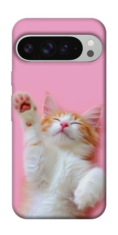 Чохол itsPrint Сat chill для Google Pixel 9 Pro XL, котики, купити оптом з доставкою