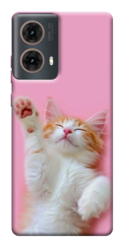 Чохол itsPrint Сat chill для Motorola Moto G85, котики, купити оптом з доставкою