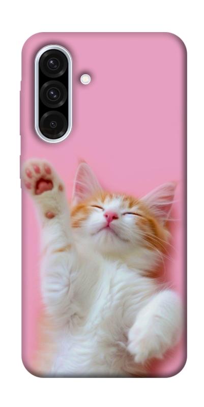 Чехол itsPrint Сat chill для Samsung Galaxy A36 5G, котики, купить оптом с доставкой