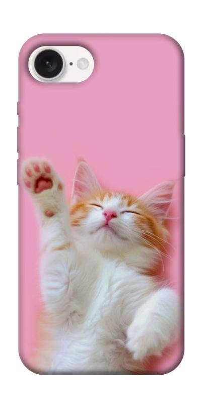 Чохол itsPrint Сat chill для Apple iPhone 16e (6.1"), котики, купити оптом з доставкою