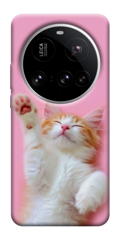 Чехол itsPrint Сat chill для Xiaomi 15 Ultra, котики, купить оптом с доставкой
