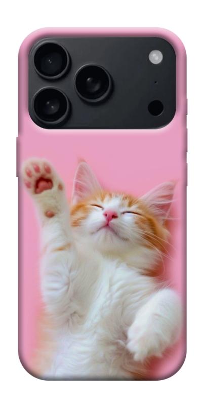 Чохол itsPrint Сat chill для Apple iPhone 17 Pro (6.3"), котики, купити оптом з доставкою