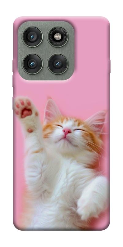 Чехол itsPrint Сat chill для Motorola Edge 60 Pro, котики, купить оптом с доставкой