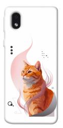 Чехол itsPrint Ginger cat для Samsung Galaxy M01 Core / A01 Core