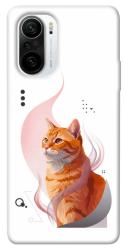 Чехол itsPrint Ginger cat для Xiaomi Redmi K40 / K40 Pro / K40 Pro+ / Poco F3