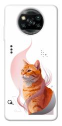 Чехол itsPrint Ginger cat для Xiaomi Poco X3 NFC / Poco X3 Pro