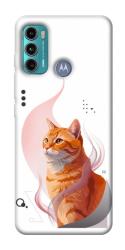 Чехол itsPrint Ginger cat для Motorola Moto G60