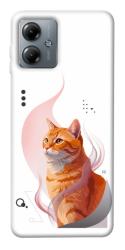 Чехол itsPrint Ginger cat для Motorola Moto G14