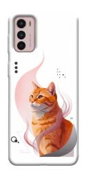 Чехол itsPrint Ginger cat для Motorola Moto G42
