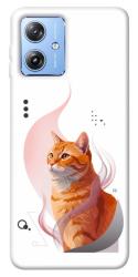 Чехол itsPrint Ginger cat для Motorola Moto G84
