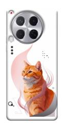 Чехол itsPrint Ginger cat для TECNO Camon 30 (CL6)