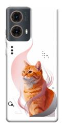 Чехол itsPrint Ginger cat для Motorola Moto G85