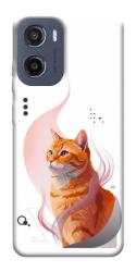 Чехол itsPrint Ginger cat для Motorola Moto G05