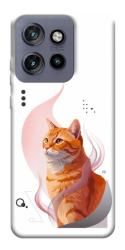Чехол itsPrint Ginger cat для Motorola Edge 50 Neo