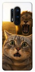 Чехол itsPrint Shocked cat and lion для OnePlus 8 Pro