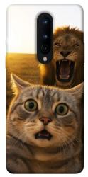 Чехол itsPrint Shocked cat and lion для OnePlus 8