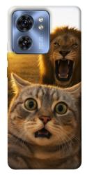 Чехол itsPrint Shocked cat and lion для Motorola Edge 40