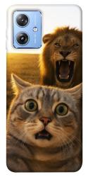 Чехол itsPrint Shocked cat and lion для Motorola Moto G84