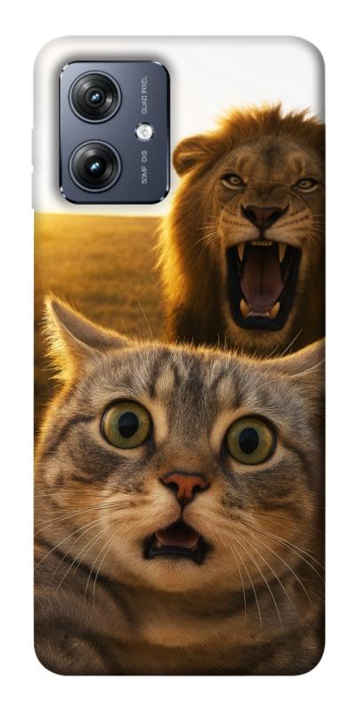 Чехол itsPrint Shocked cat and lion для Motorola Moto G54, животные, купить оптом с доставкой