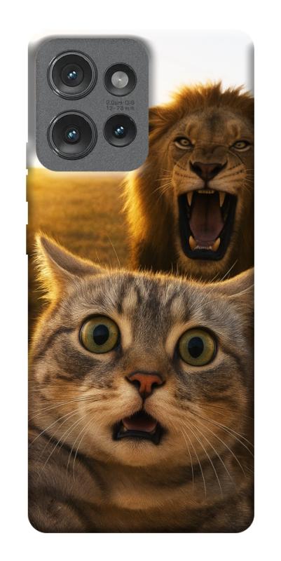 Чехол itsPrint Shocked cat and lion для Motorola Edge 50, животные, купить оптом с доставкой
