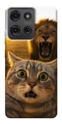 Чехол itsPrint Shocked cat and lion для Motorola Moto G75 5G