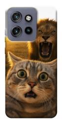 Чехол itsPrint Shocked cat and lion для Motorola Edge 50 Neo