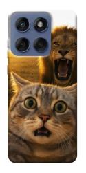 Чехол itsPrint Shocked cat and lion для Motorola Edge 60 Fusion