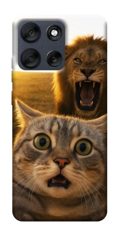Чохол itsPrint Shocked cat and lion для Motorola Moto G56 5G, тварини, купити оптом з доставкою