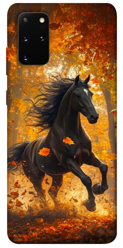 Чехол itsPrint Autumn Horse для Samsung Galaxy S20+, животные, купить оптом с доставкой