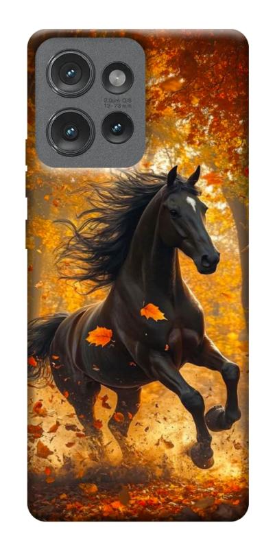 Чехол itsPrint Autumn Horse для Motorola Edge 50, животные, купить оптом с доставкой
