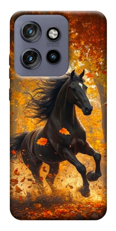 Чехол itsPrint Autumn Horse для Motorola Edge 50 Neo, животные, купить оптом с доставкой